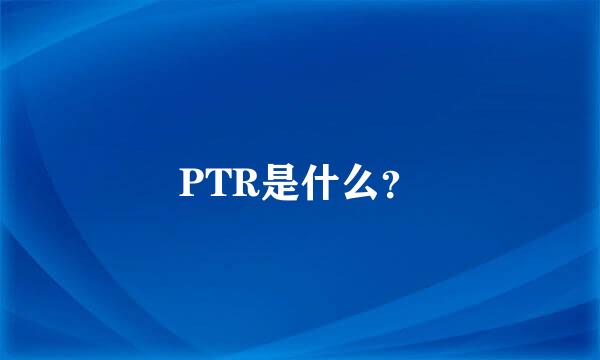 PTR是什么？