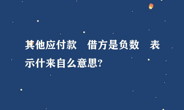 其他应付款 借方是负数 表示什来自么意思?