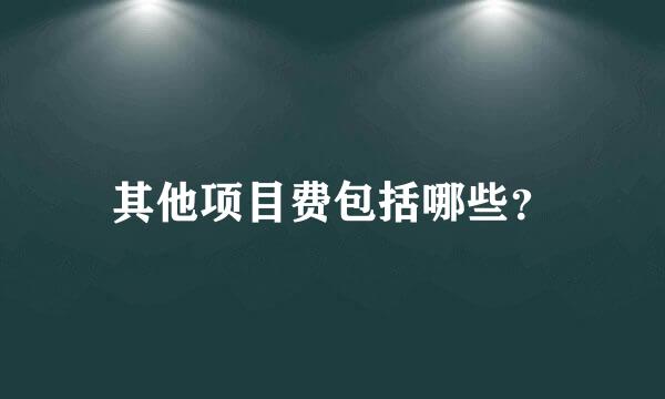 其他项目费包括哪些？