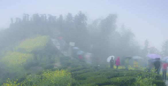 春雨连绵妻独宿(打一字)