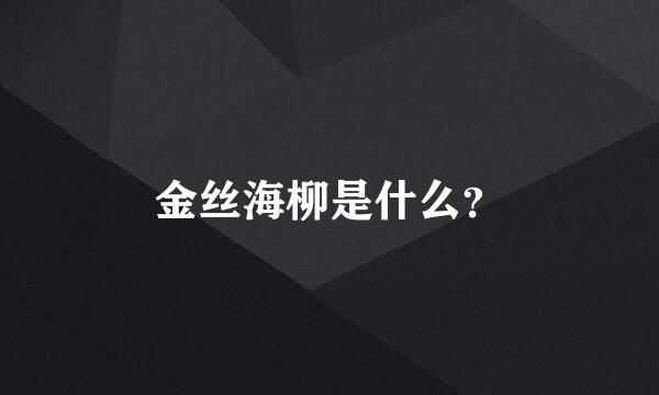 金丝海柳是什么？