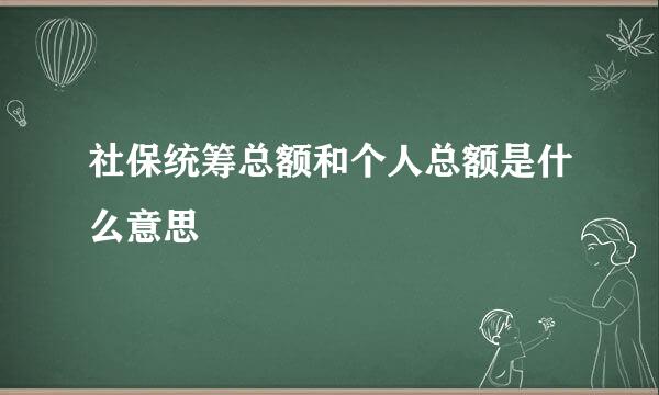 社保统筹总额和个人总额是什么意思