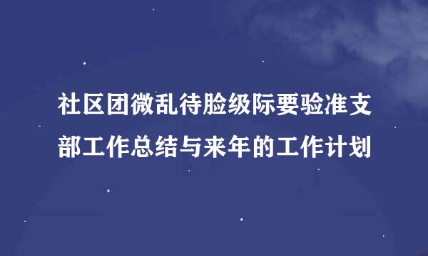 社区团微乱待脸级际要验准支部工作总结与来年的工作计划