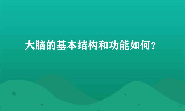 大脑的基本结构和功能如何？