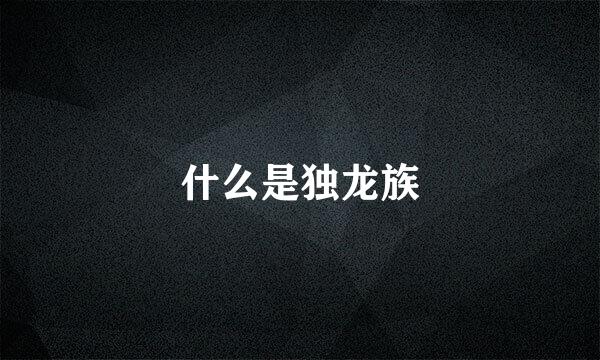 什么是独龙族