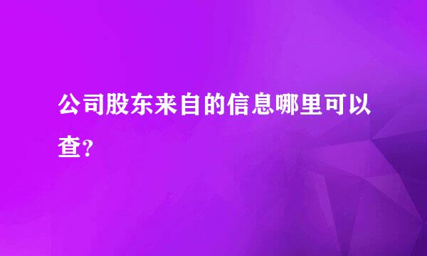 公司股东来自的信息哪里可以查？