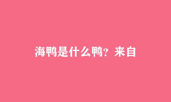 海鸭是什么鸭？来自