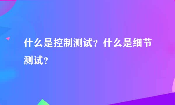 什么是控制测试？什么是细节测试？