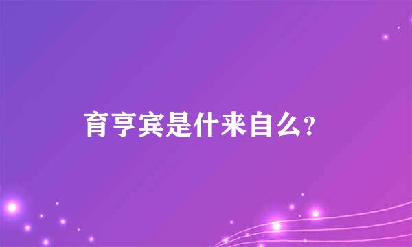 育亨宾是什来自么？