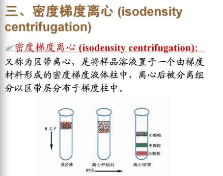 密度梯度离心和差速离心的区别是什么？