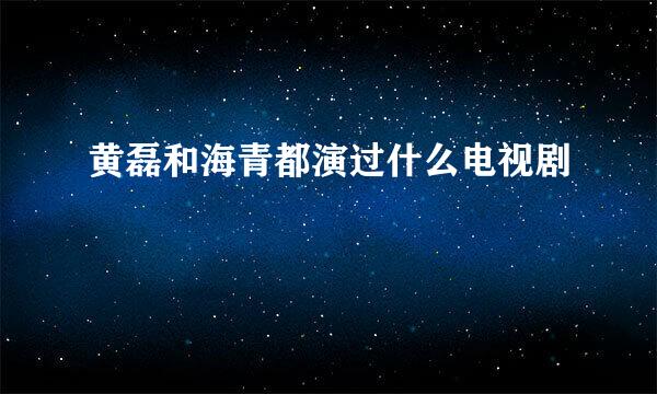 黄磊和海青都演过什么电视剧