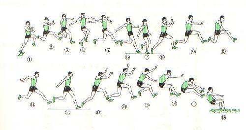 立定三级跳动作图解