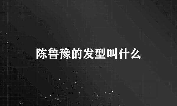 陈鲁豫的发型叫什么