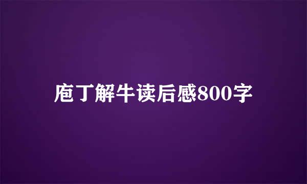 庖丁解牛读后感800字