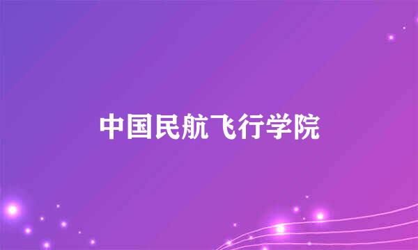 中国民航飞行学院