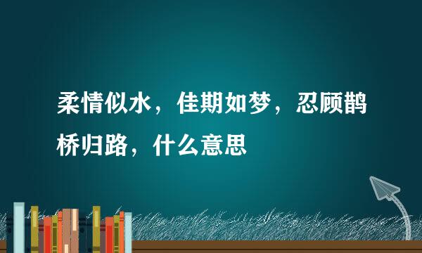 柔情似水，佳期如梦，忍顾鹊桥归路，什么意思