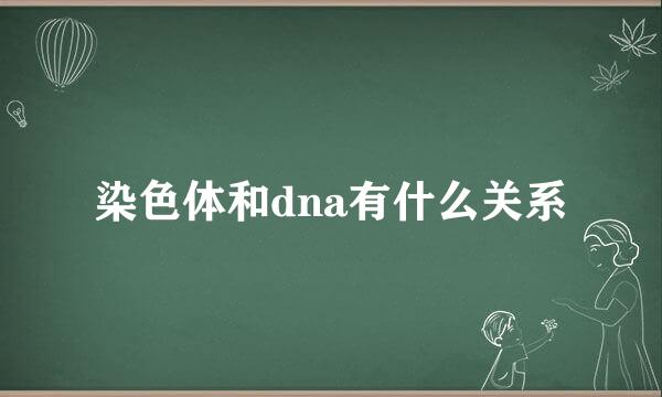 染色体和dna有什么关系