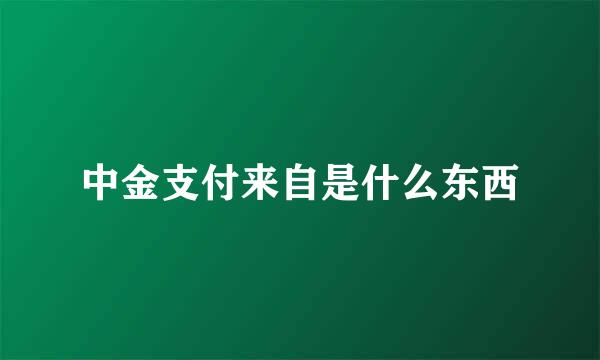 中金支付来自是什么东西