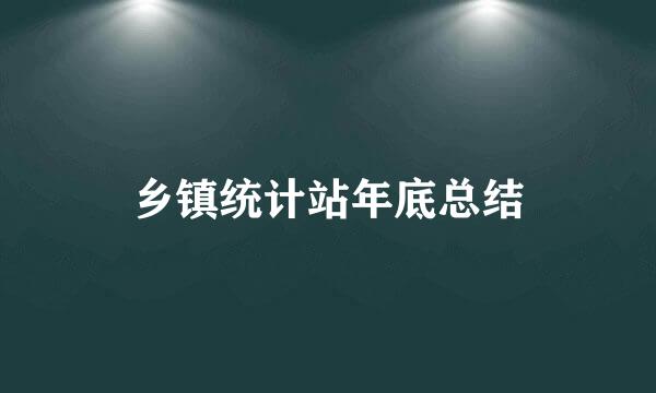 乡镇统计站年底总结