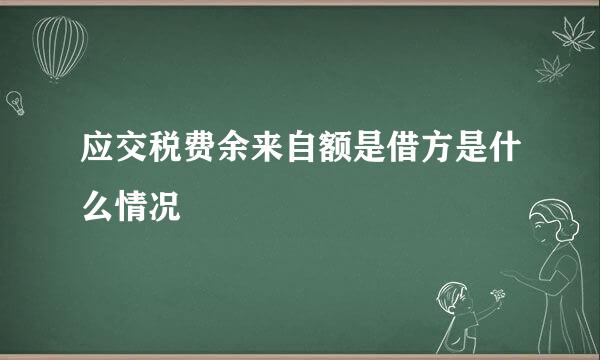 应交税费余来自额是借方是什么情况