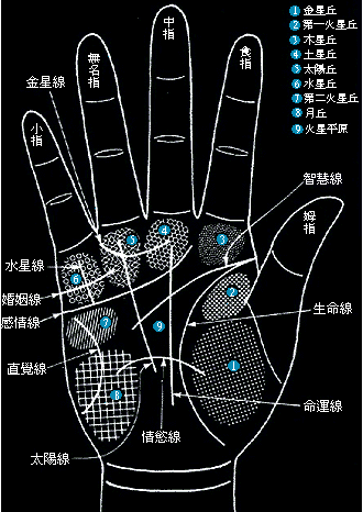 如何看手相图解