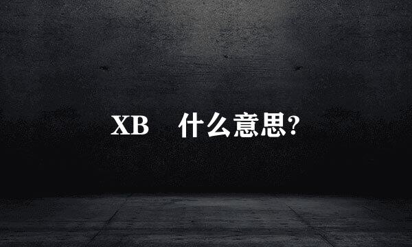 XB 什么意思?