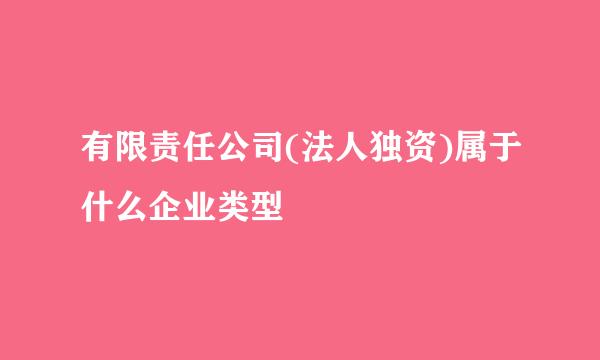 有限责任公司(法人独资)属于什么企业类型