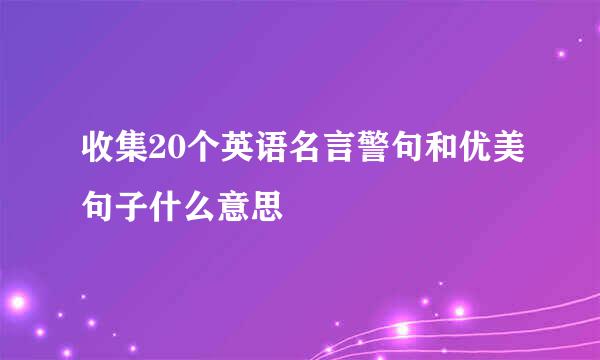 收集20个英语名言警句和优美句子什么意思