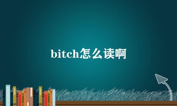 bitch怎么读啊