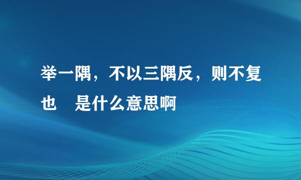 举一隅，不以三隅反，则不复也 是什么意思啊