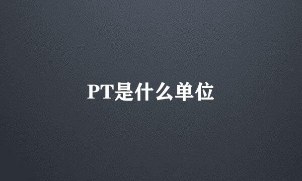 PT是什么单位