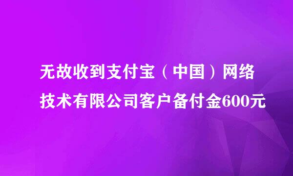 无故收到支付宝（中国）网络技术有限公司客户备付金600元