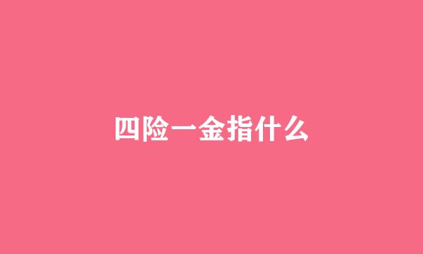 四险一金指什么