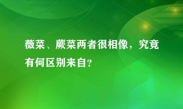 薇菜、蕨菜两者很相像，究竟有何区别来自？