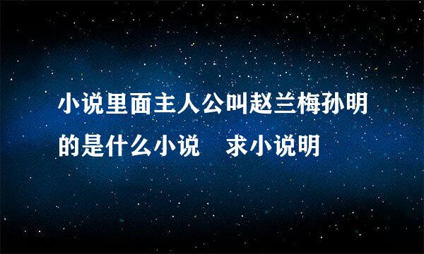 小说里面主人公叫赵兰梅孙明的是什么小说 求小说明