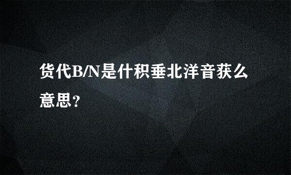 货代B/N是什积垂北洋音获么意思？