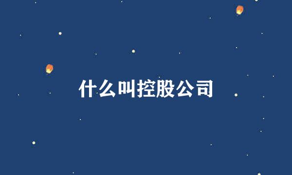 什么叫控股公司