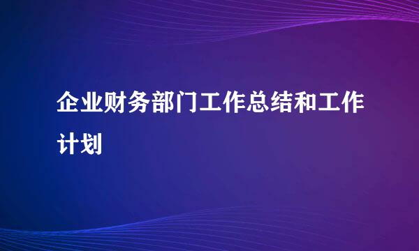 企业财务部门工作总结和工作计划