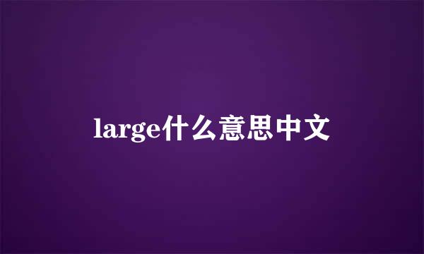 large什么意思中文