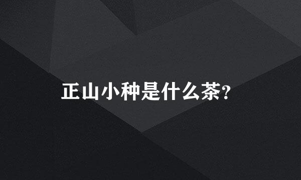 正山小种是什么茶？