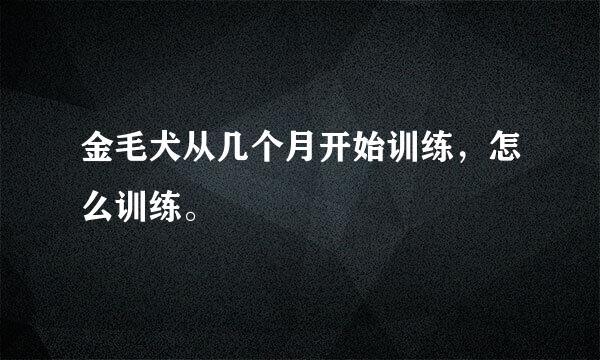 金毛犬从几个月开始训练，怎么训练。