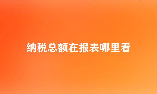 纳税总额在报表哪里看