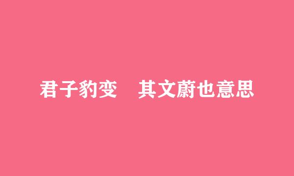 君子豹变 其文蔚也意思