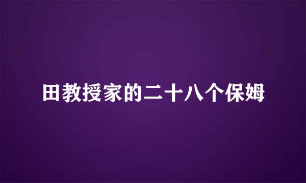 田教授家的二十八个保姆