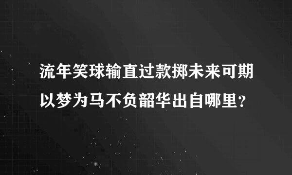 流年笑球输直过款掷未来可期以梦为马不负韶华出自哪里？