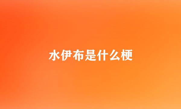 水伊布是什么梗