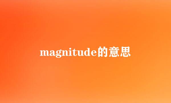 magnitude的意思