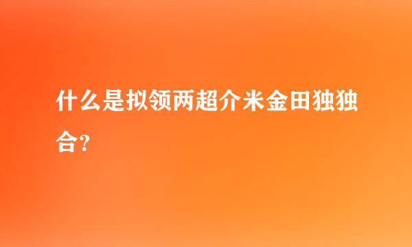 什么是拟领两超介米金田独独合？