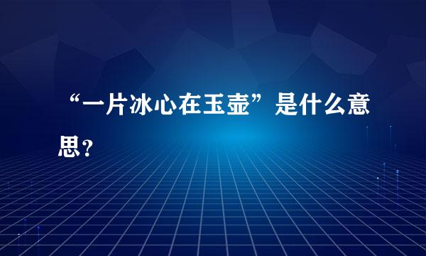 “一片冰心在玉壶”是什么意思？