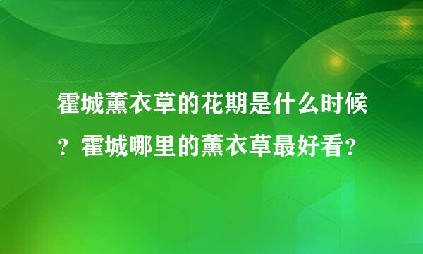 霍城薰衣草的花期是什么时候？霍城哪里的薰衣草最好看？